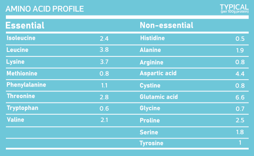 Vanation ISO -Zero 30 Ser -1080 Mg -Premium-Highest Grad whey Protein Isolate(Strawberry Cream)