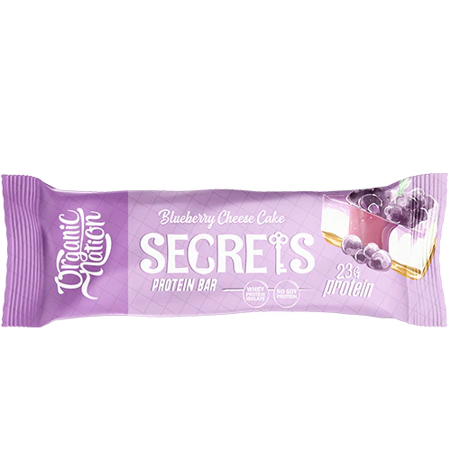 [6222023701212] Organic Nation Secrets Protein Bar-1Serv.-70G-Blueberry Cheese Cake