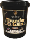 Challenger Nutrition Thunder Gain-10kg -30 Serv. - Chocolate
